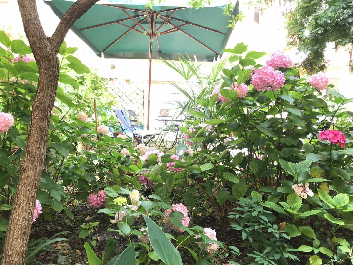 Cynthia'S Garden - Apartment With Private Garden In Santa Croce فلورنس المظهر الخارجي الصورة